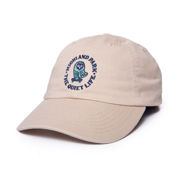 Skating Owl Dad Hat