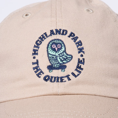 Skating Owl Dad Hat