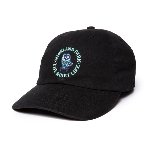 Skating Owl Dad Hat