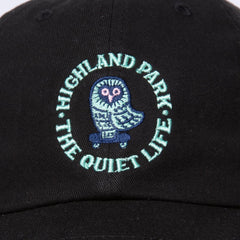 Skating Owl Dad Hat