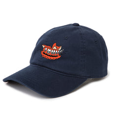 Shakey Cat Dad Hat - SP25