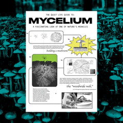 Mycelium T